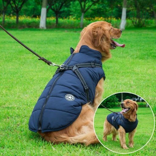 City Proof Winter Dog Jacket